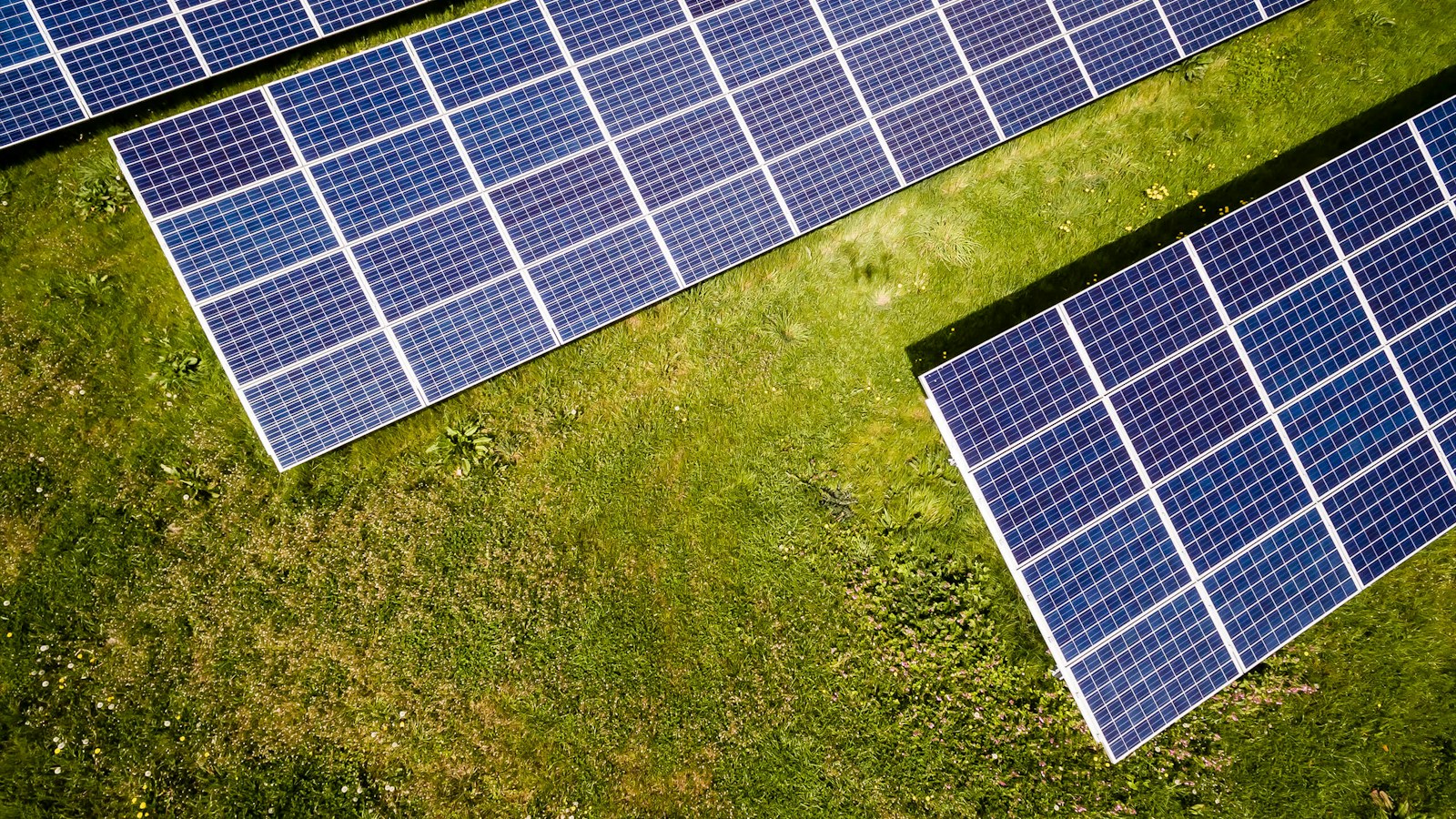 Solar panels across a sunlit residential rooftop